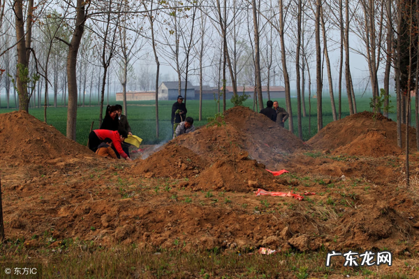 门前风水池 坟墓前有水池风水好吗