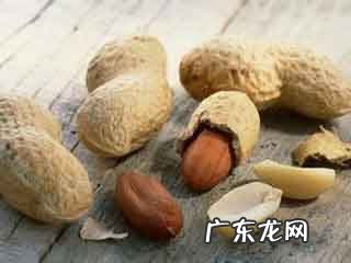 养胃吃什么食物最好 比较养胃的食物有哪些