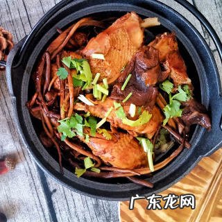 养胃吃什么食物最好 比较养胃的食物有哪些