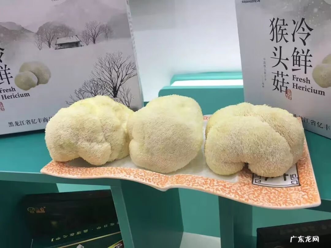 猴头菇怎么吃最好 新鲜猴头菇怎么吃?