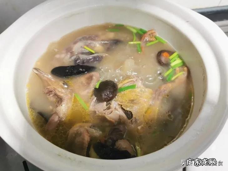 清炖鸽子汤的家常做法 清炖鸽子汤怎么炖?