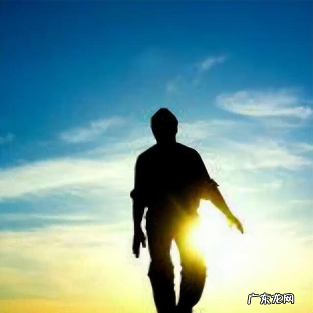 西游降魔篇在线观看免费 西游降魔篇猪八戒