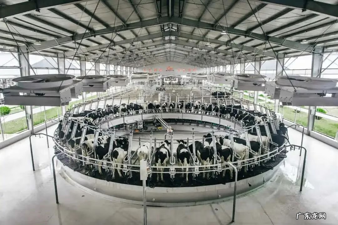 明一婴儿配方奶粉怎么样 明一幼儿配方奶粉