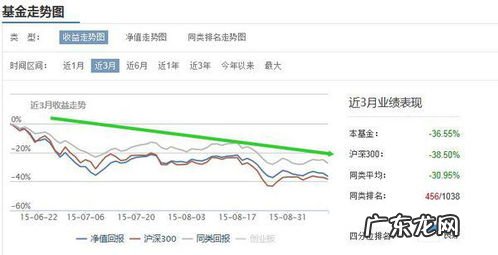 看一下大成2020基金的净值是多少 090006大成2020净值查询