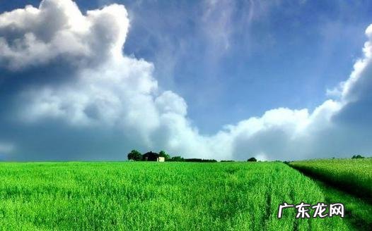 上使外将兵的将是什么意思? 初中语文文言文知识点总结归纳