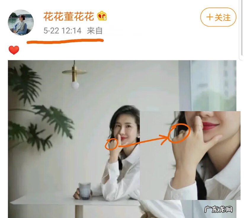 蒋凡个人资料简介 蒋凡的简历