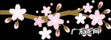 前庭大腺怎么突然肿了 前庭大腺肿大