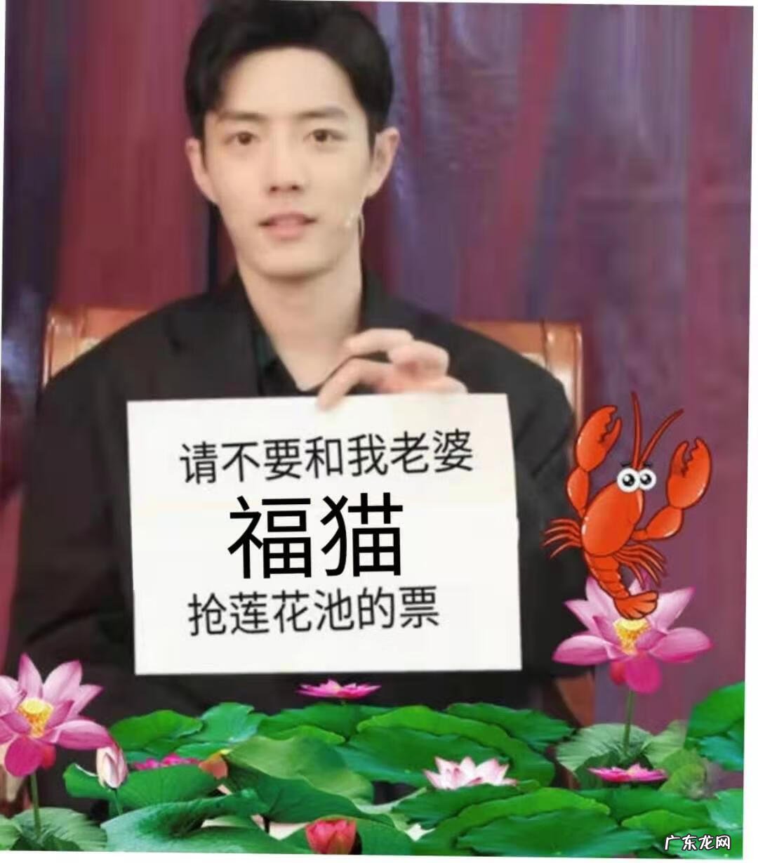 阳台种莲花有什么风水 莲花池的风水作用