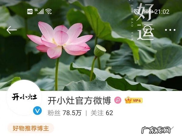 阳台种莲花有什么风水 莲花池的风水作用