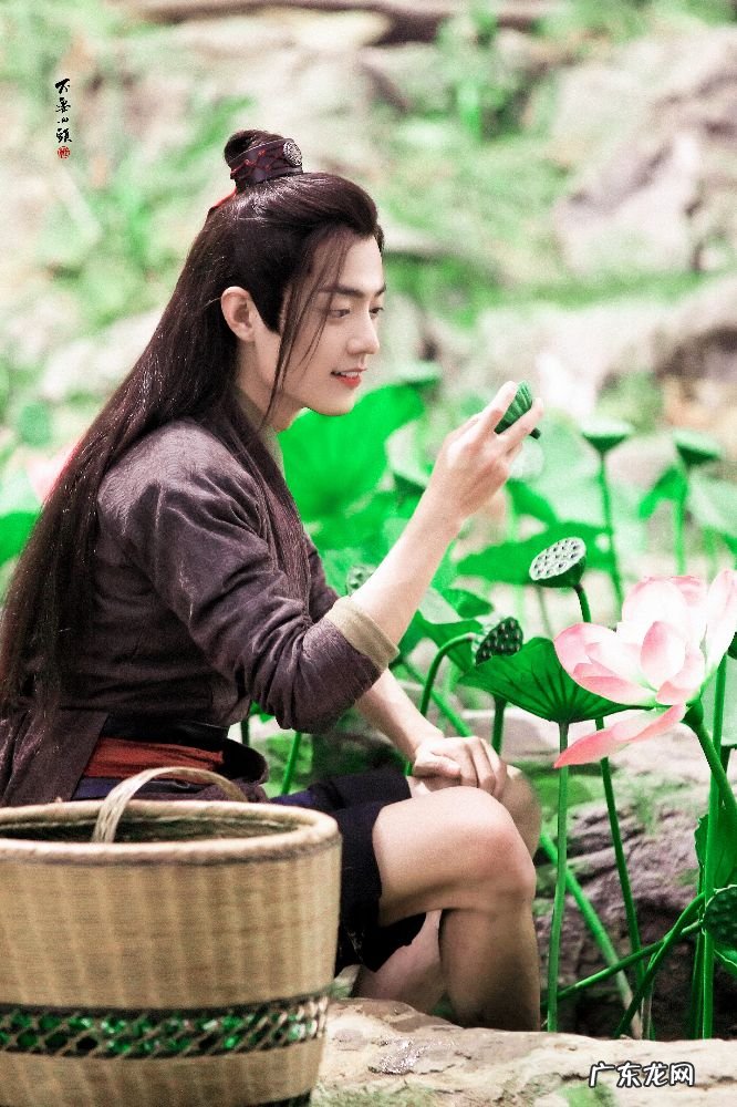 阳台种莲花有什么风水 莲花池的风水作用