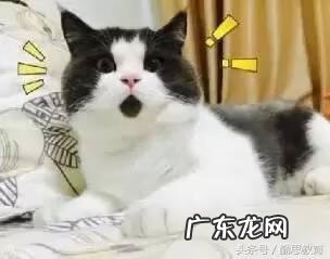 汉语国际教育能当语文老师吗 汉语国际教育硕士