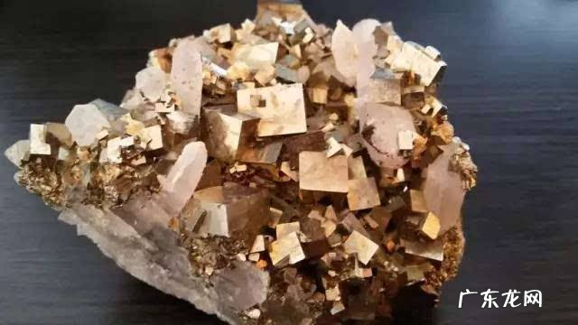 贝壳风水上有啥寓意 风水里放贝壳有什么作用吗