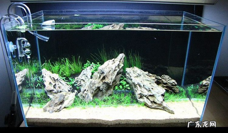 贝壳风水上有啥寓意 风水里放贝壳有什么作用吗