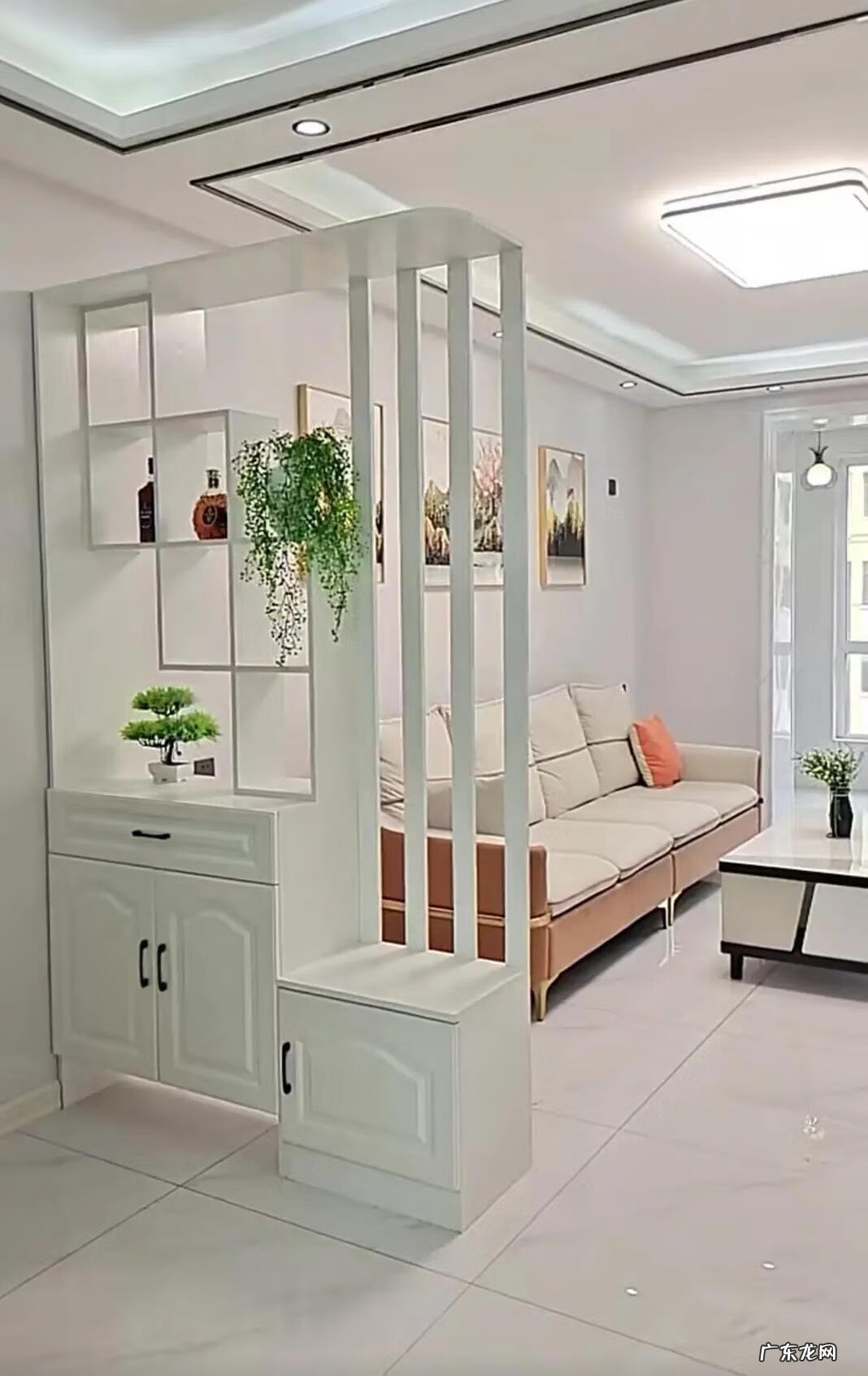 入户隔断柜效果图 入户门隔断柜