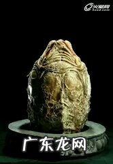 穿越火线异形终结者来历 穿越火线异形终结者和终结者