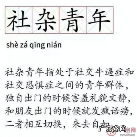 青年社群是什么 社杂青年是什么意思