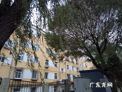 驱魔者 驱魔者3d