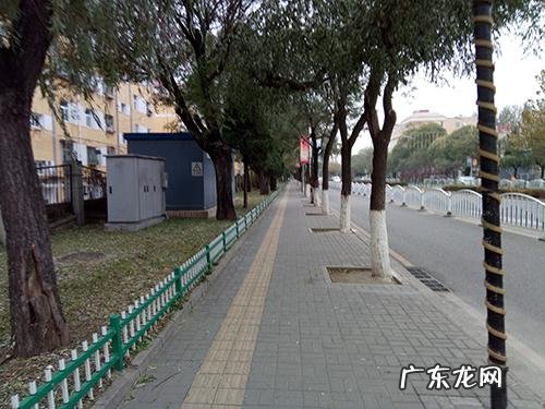 驱魔者 驱魔者3d