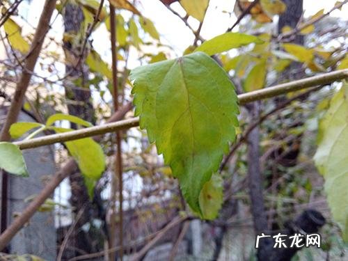 驱魔者 驱魔者3d