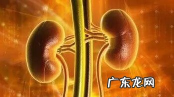 儿童过敏性紫癜图片 过敏性紫癜病图片