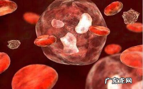 儿童过敏性紫癜图片 过敏性紫癜病图片