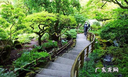 罗伞果 风水罗伞地出什么