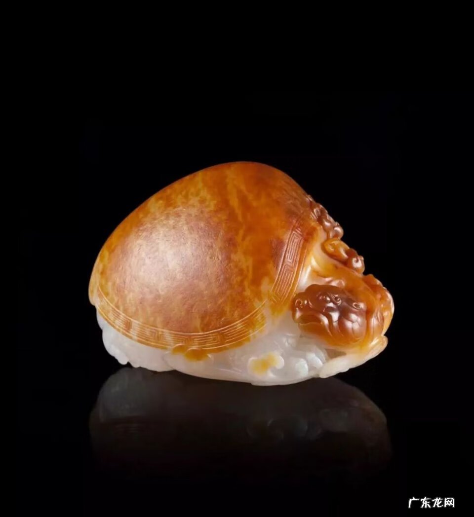 龙龟怎么摆放风水 风水 龙龟