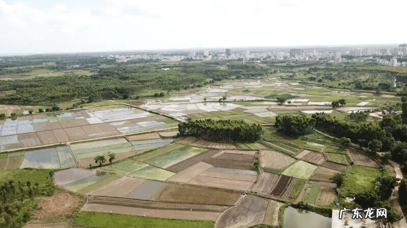 民间风水传说 麻章仙村风水传说
