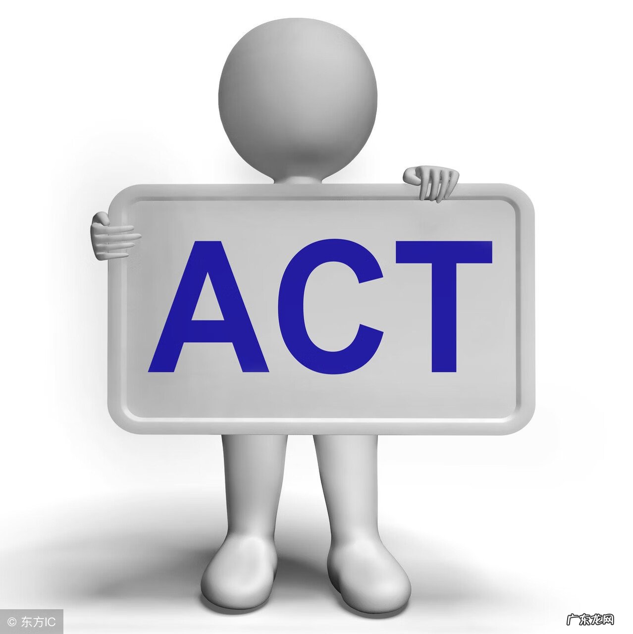 actin什么意思 theact什么意思