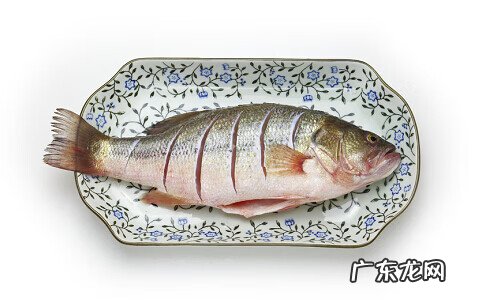 怀孕吃什么鱼对胎儿好 孕妇吃什么鱼好怎么做