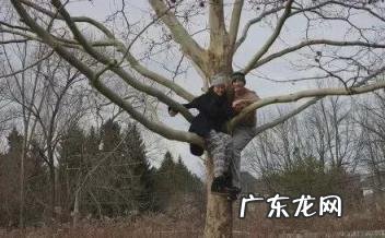 我们的歌王力宏歌词含义 王力宏唱的唯一歌词