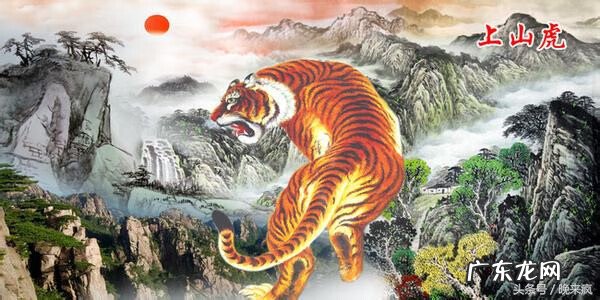 猛虎下山之地 风水猛虎下山是什么意思