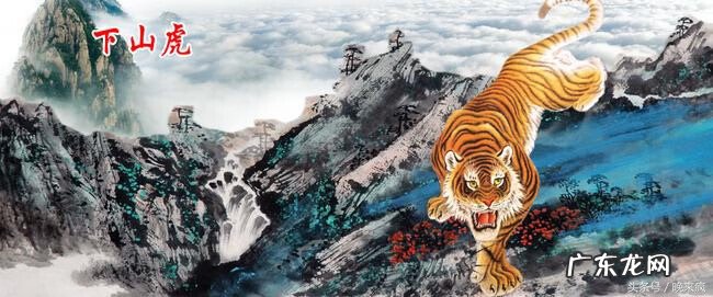 猛虎下山之地 风水猛虎下山是什么意思