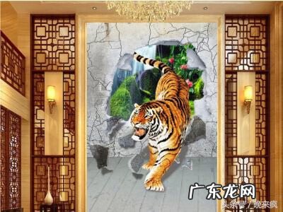 猛虎下山之地 风水猛虎下山是什么意思