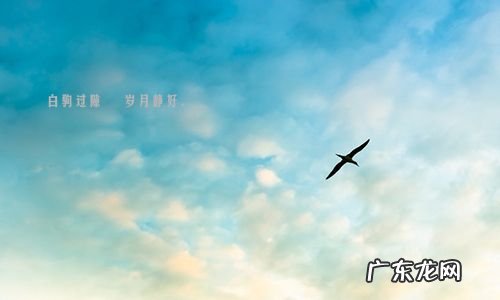 心情不好想发表心情说说句子 心情不好的句子发朋友圈