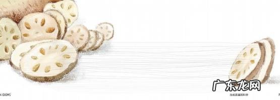 藕断丝连的意思解释 藕断丝连近义词语的成语