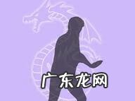 降龙十八掌十八式 降龙十八掌步骤