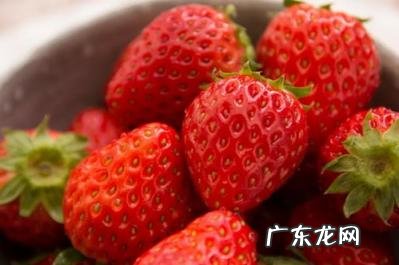 吸草莓对身体有益的还是有害的 吸草莓的技巧和正确方式图片