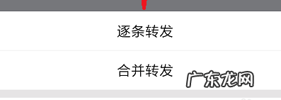 qq怎么群发消息给个人 qq怎么群发消息给多人