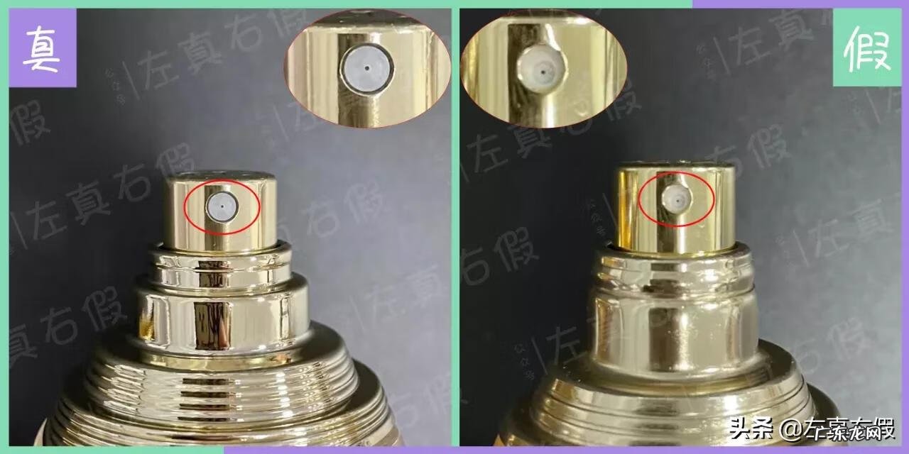 迪奥真我纯香怎么样 dior真我