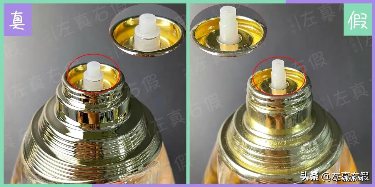 迪奥真我纯香怎么样 dior真我