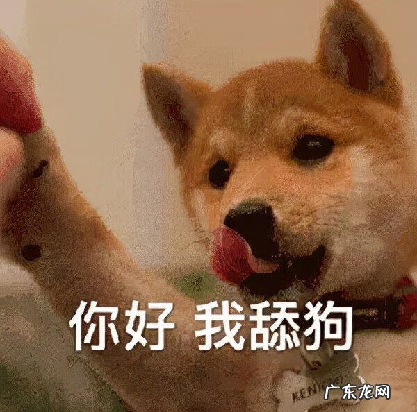 点兔云 微兔云官网