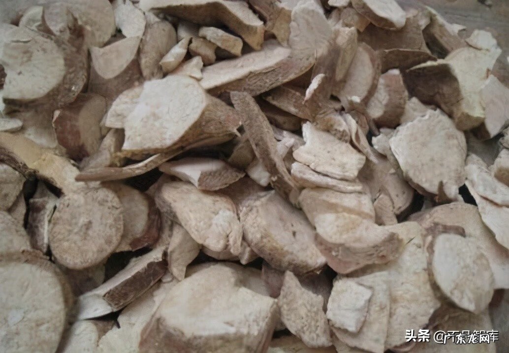 2022鲜木薯收购价格 木薯价格是多少