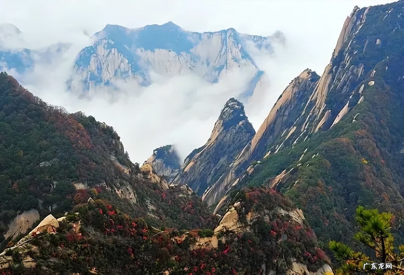 九龙风水 九龙来朝的风水