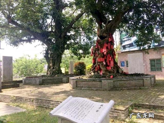 客厅天池 风水龙带天池