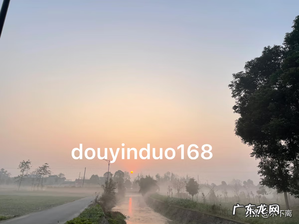 淘宝店铺排行榜第一名 淘宝店铺排行榜在哪