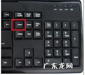 笔记本键盘上的insert 笔记本上insert是哪个键
