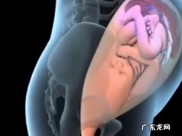 能看到产道的顺产 顺产