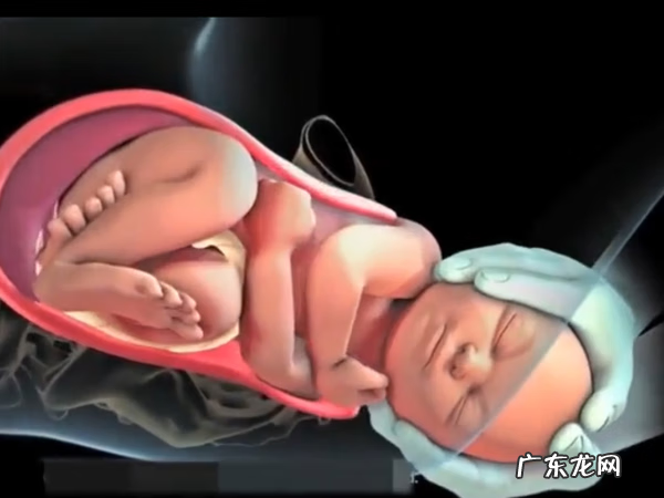 能看到产道的顺产 顺产