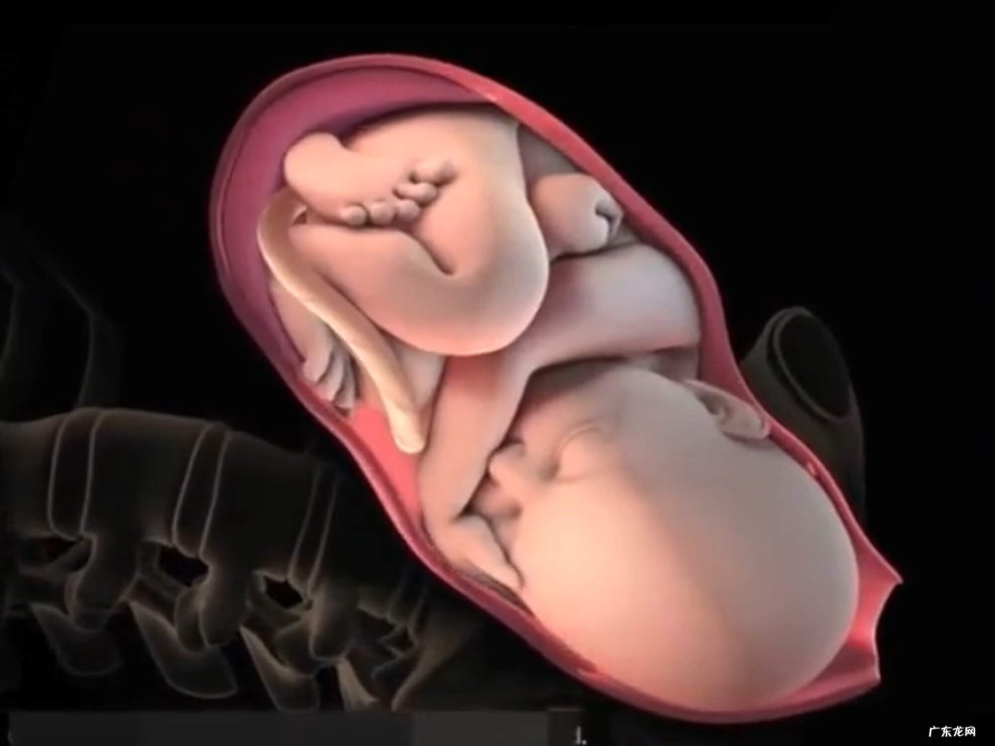 能看到产道的顺产 顺产